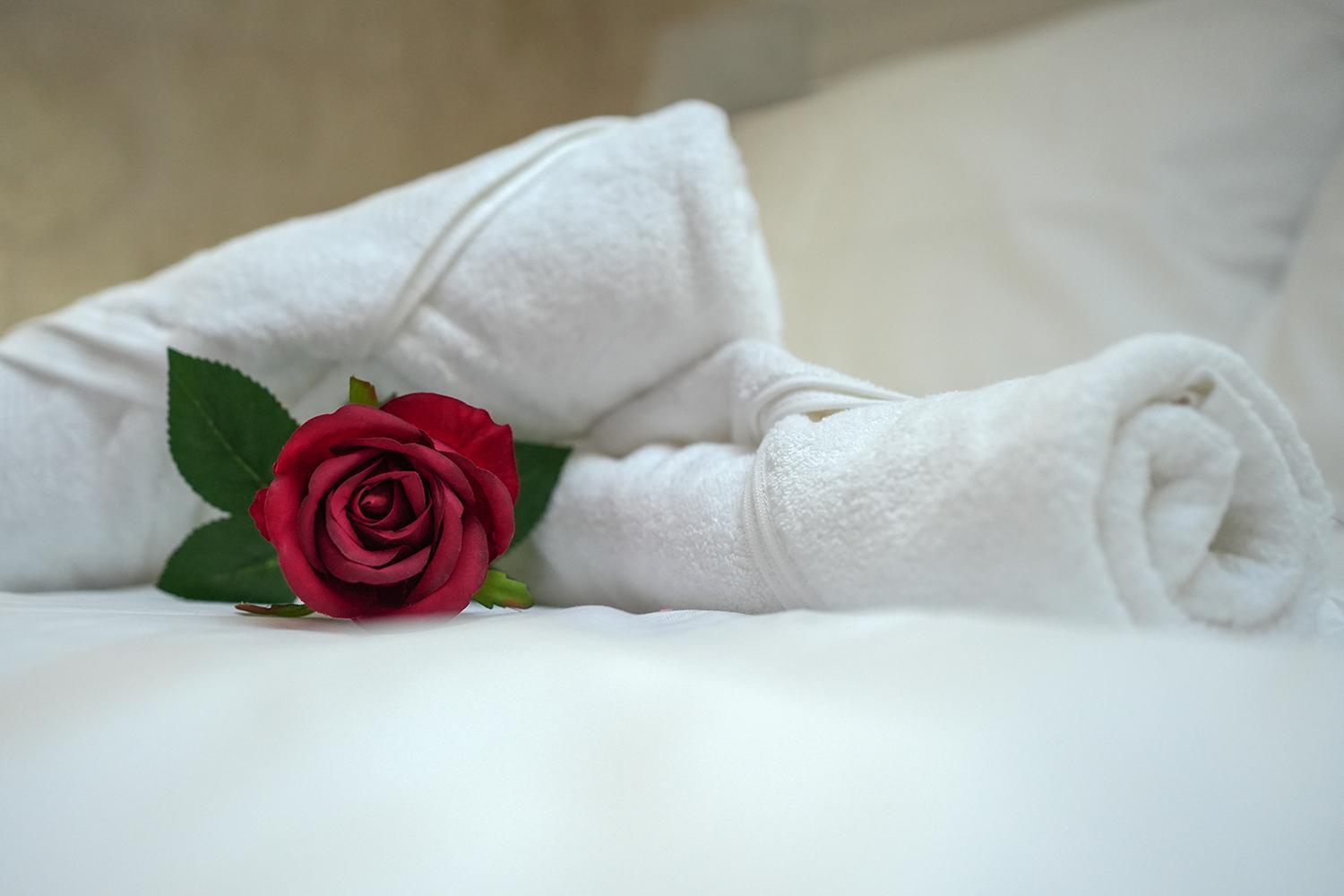 Evasion Chic, Spa Et Sauna Sous Les Toits Nancy Luaran gambar